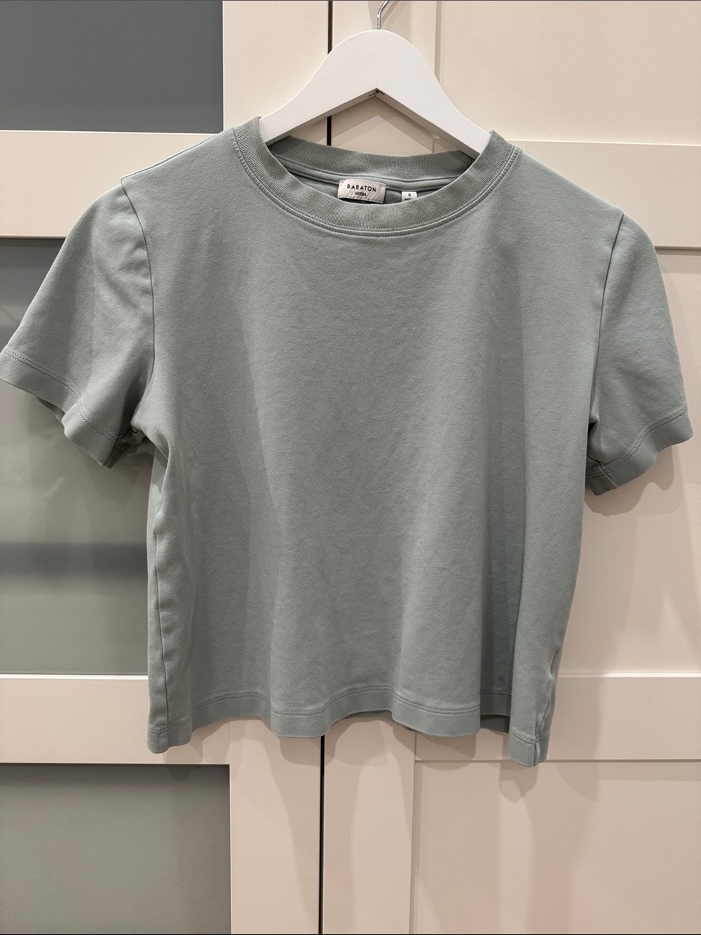 Aritzia Sage Green Crewneck Tee